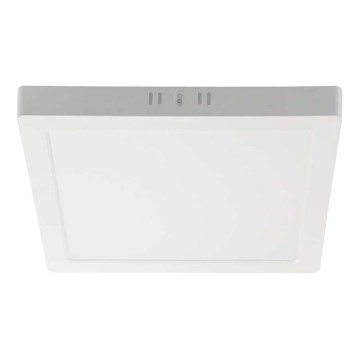 LED-kattovalaisin LED/12W/230V 3000K 16,7x16,7 cm valkoinen