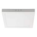 LED-kattovalaisin LED/12W/230V 4000K 16,7x16,7 cm valkoinen