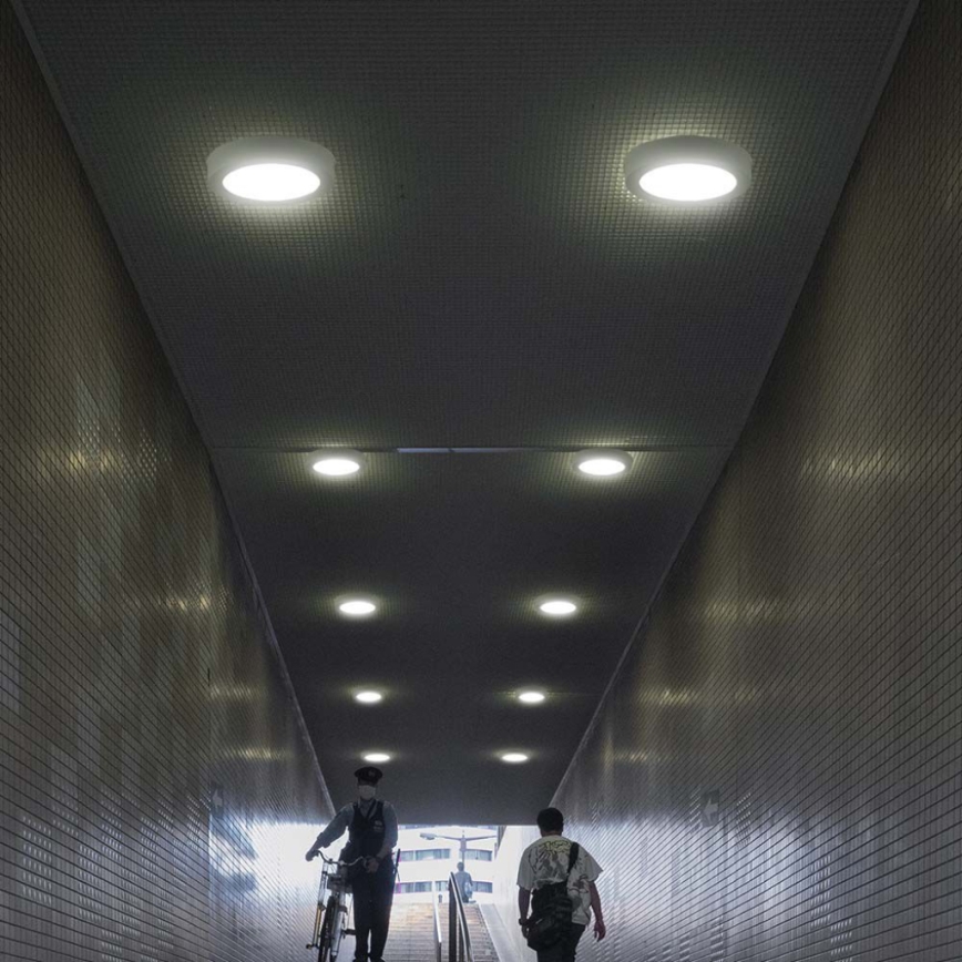 LED-kattovalaisin LED/12W/230V 4000K halkaisija 16,7 cm valkoinen