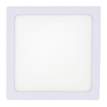 LED-kattovalaisin LED/12W/230V 4200K 16,3x16,3 cm valkoinen