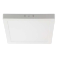LED-kattovalaisin LED/12W/230V 6500K 16,7x16,7 cm valkoinen