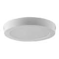 LED-kattovalaisin LED/12W/230V 6500K halkaisija 16,7 cm valkoinen