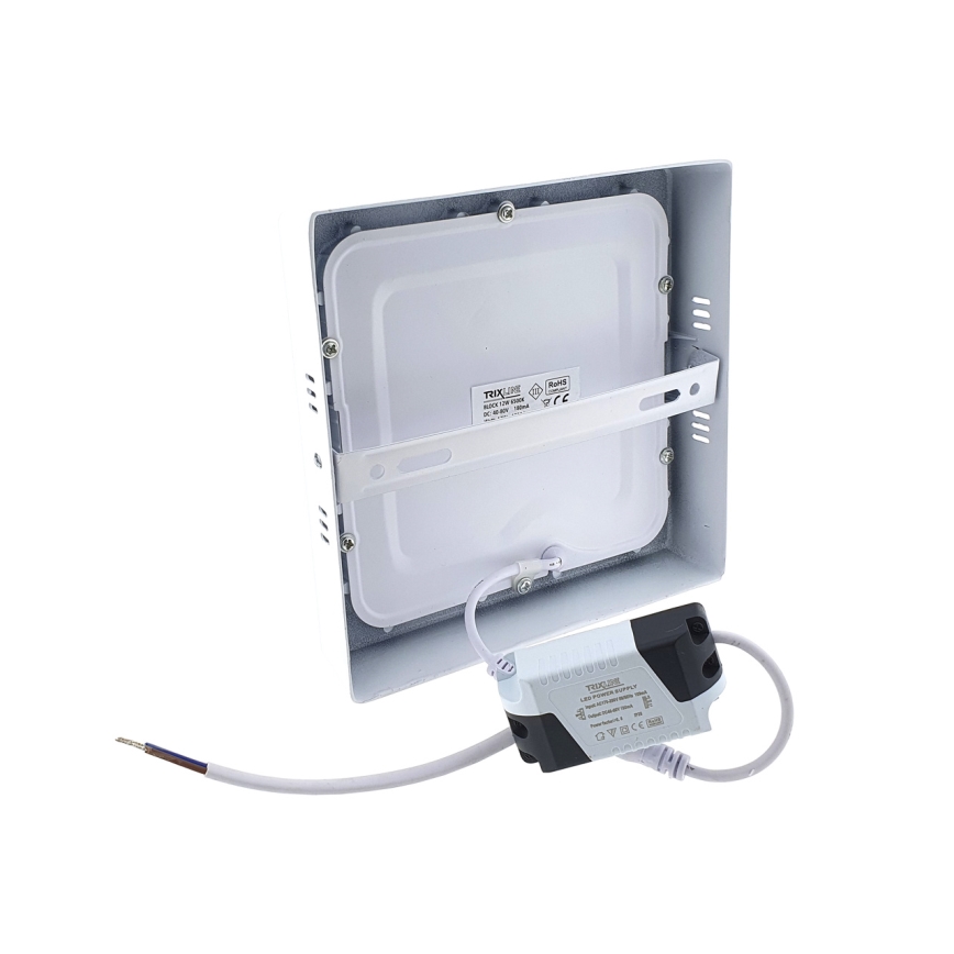 LED-kattovalaisin LED/12W/230V 6500K