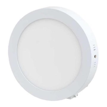 LED-kattovalaisin LED/12W/230V