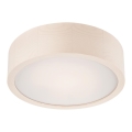 LED-kattovalaisin LED/12W/230V mänty