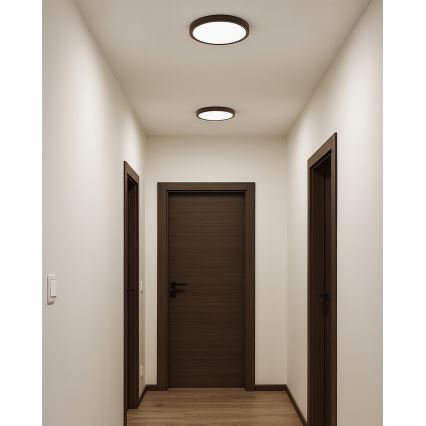 LED-kattovalaisin LED/18W/230V 3000/4000/6500K halkaisija 23 cm ruskea