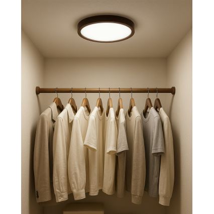LED-kattovalaisin LED/18W/230V 3000/4000/6500K halkaisija 23 cm ruskea