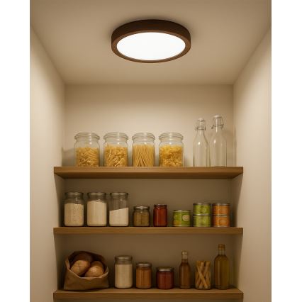 LED-kattovalaisin LED/18W/230V 3000/4000/6500K halkaisija 23 cm ruskea