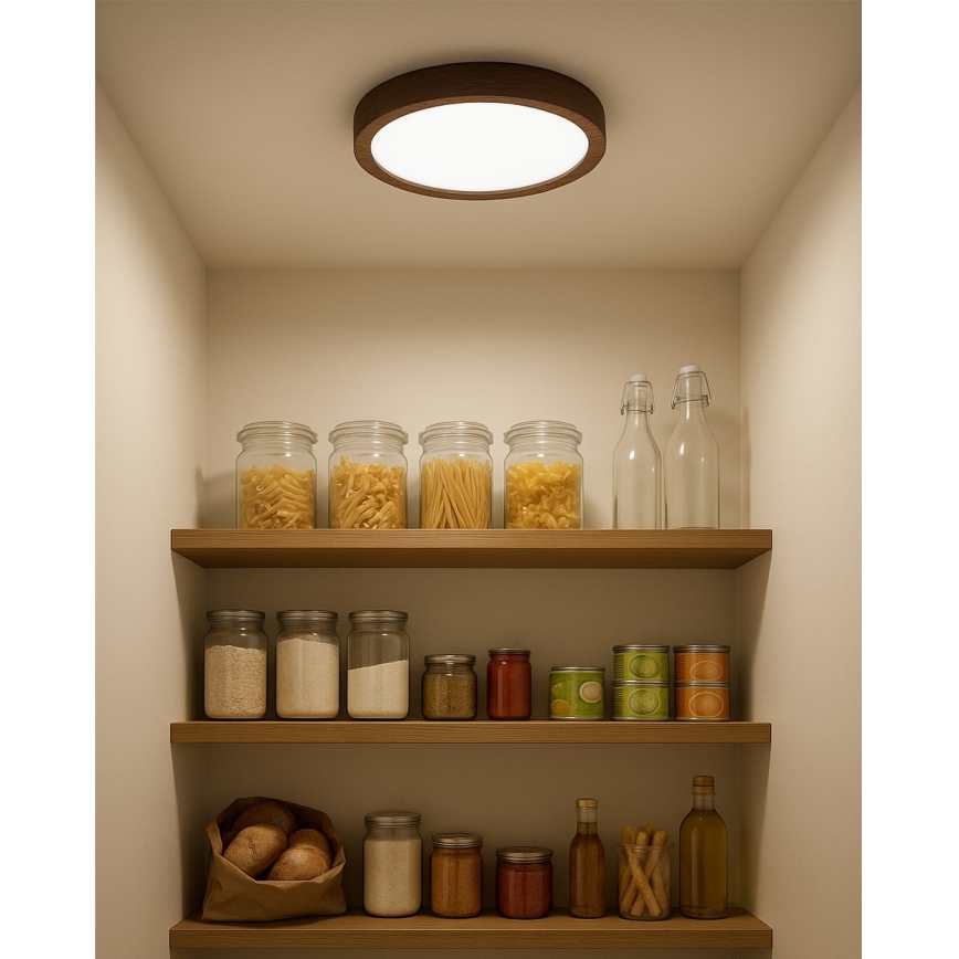 LED-kattovalaisin LED/18W/230V 3000/4000/6500K halkaisija 23 cm ruskea
