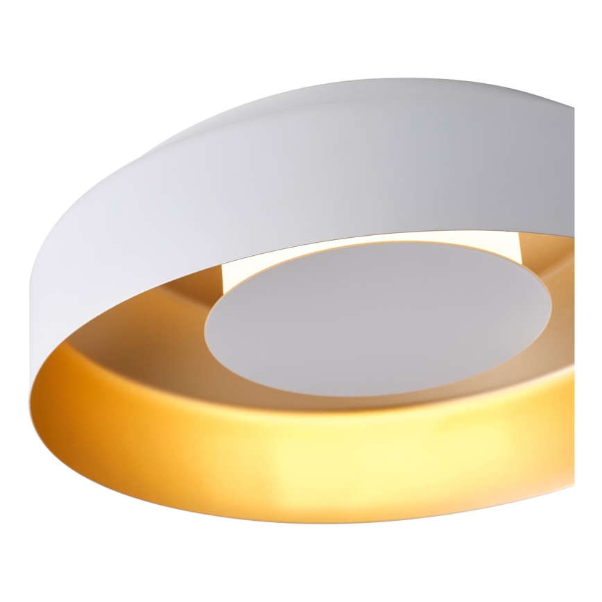 LED-kattovalaisin LED/20W/230V 3000K valkoinen