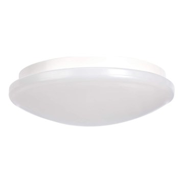 LED Kattovalaisin LED/20W/230V