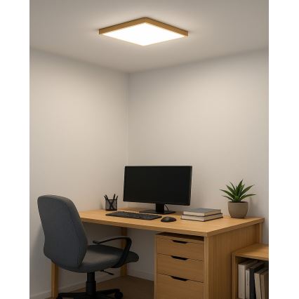 LED-kattovalaisin LED/24W/230V 3000/4000/6500K 30x30 cm beige