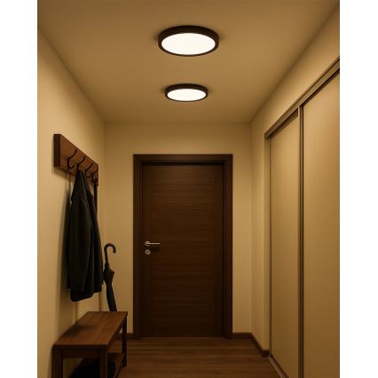 LED-kattovalaisin LED/24W/230V 3000/4000/6500K halkaisija 30 cm ruskea