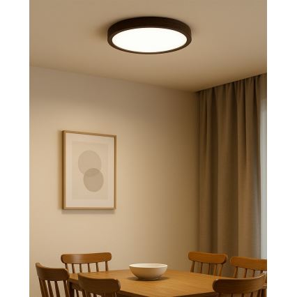 LED-kattovalaisin LED/24W/230V 3000/4000/6500K halkaisija 30 cm ruskea