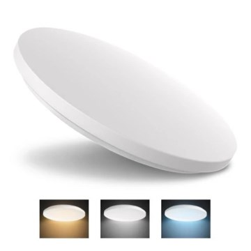 LED-kattovalaisin LED/24W/230V 3000K/4000K/6000K