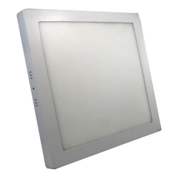 LED-kattovalaisin LED/24W/230V 3000K