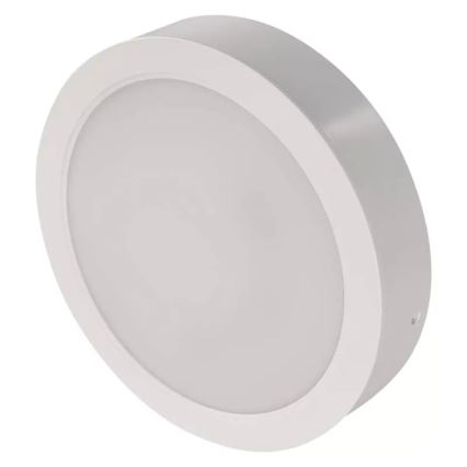 LED-kattovalaisin LED/24W/230V halkaisija 22 cm valkoinen