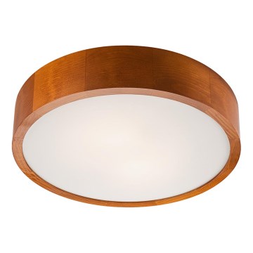 LED-kattovalaisin LED/24W/230V mänty