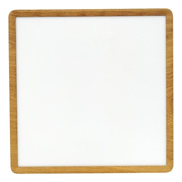 LED-kattovalaisin LED/32W/230V 3000/4000/6500K 40x40 cm beige