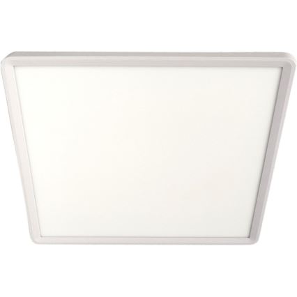 LED-kattovalaisin LED/32W/230V 3000/4000/6500K 40x40 cm valkoinen