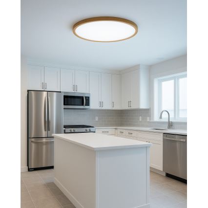 LED-kattovalaisin LED/32W/230V 3000/4000/6500K halkaisija 40 cm beige