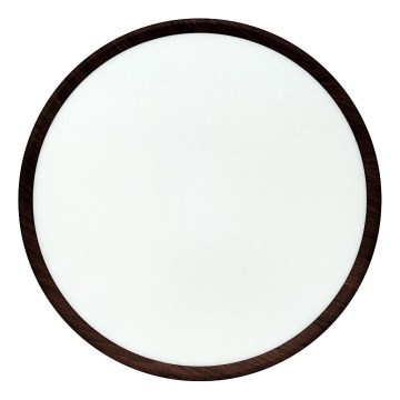 LED-kattovalaisin LED/32W/230V 3000/4000/6500K halkaisija 40 cm ruskea