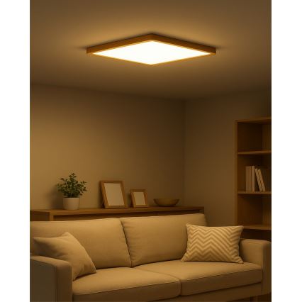 LED-kattovalaisin LED/40W/230V 3000/4000/6500K 50x50 cm beige