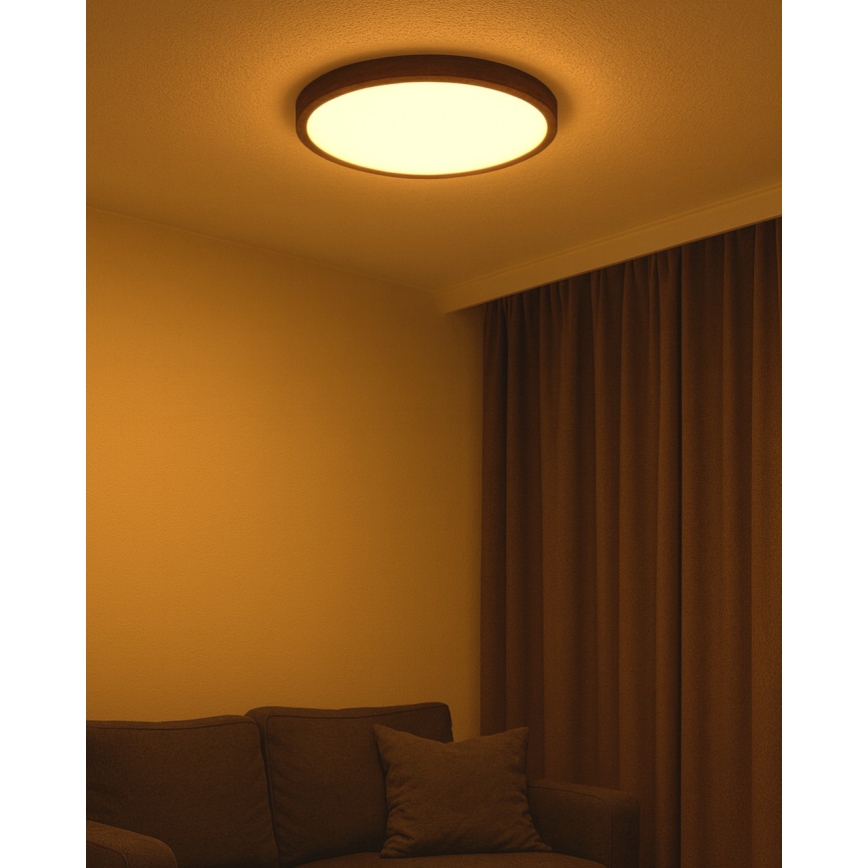 LED-kattovalaisin LED/40W/230V 3000/4000/6500K halkaisija 50 cm ruskea
