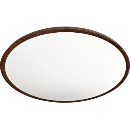 LED-kattovalaisin LED/40W/230V 3000/4000/6500K halkaisija 50 cm ruskea