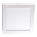 LED-kattovalaisin LED/6W/230V 4000K 12x12 cm