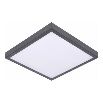 LED-kattovalaisin liiketunnistimella ja hämäräkytkimellä VITALI LED/24W/230V 4000K 33x33 cm antrasiitti