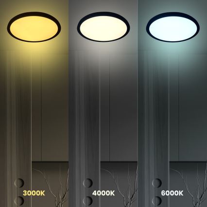 LED Kattovalaisin MAQ LED/40W/230V 3000/4000/6500K IP40 musta