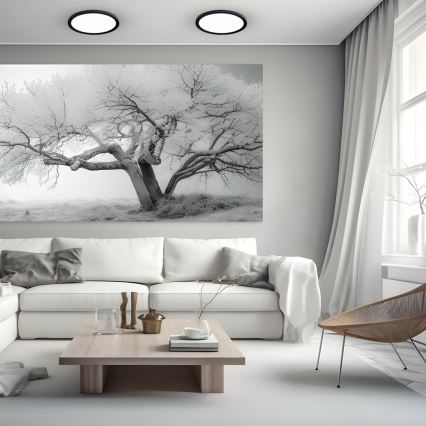 LED Kattovalaisin MAQ LED/24W/230V 3000/4000/6500K IP40 musta