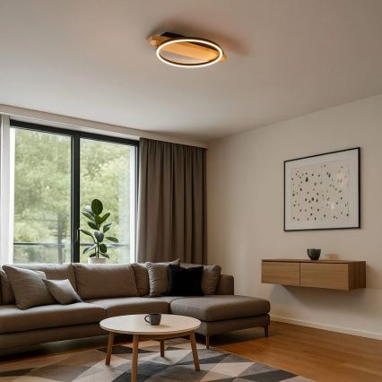 LED-kattovalaisin MELISA LED/12W/230V 30x40 cm mänty