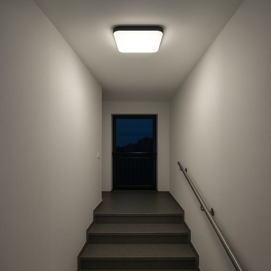 LED-kattovalaisin NEMO LED/36W/230V 50x50 cm, musta