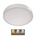 LED Kattovalaisin NEXXO LED/28,5W/230V 3000/3500/4000K halkaisija 30 cm valkoinen