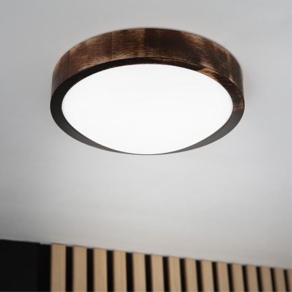 LED-kattovalaisin OAK SMOKY SLIM LED/20W/230V 4000K halkaisija 27 cm tammi/tummanruskea