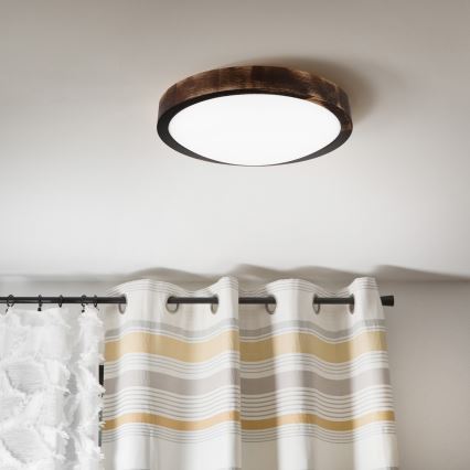 LED-kattovalaisin OAK SMOKY SLIM LED/20W/230V 4000K halkaisija 27 cm tammi/tummanruskea