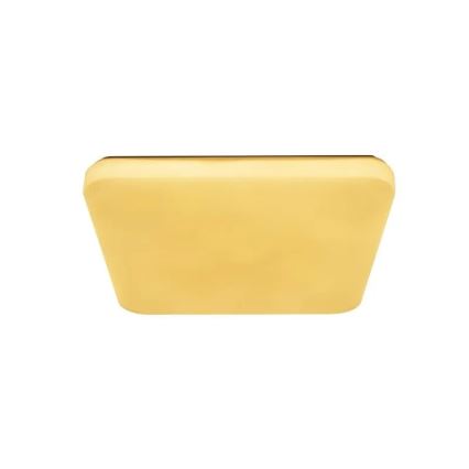 Himmennettävä LED-kattovalaisin OPAL LED/60W/230V 3000-6500K + kauko-ohjaus