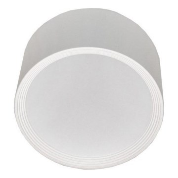 LED-kattovalaisin PERCI LED/20W/230V IP40 4000K valkoinen