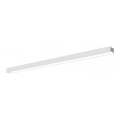 LED-kattovalaisin, pinta- ja riippuvalaisin KOLINE LED/40W/230V 3000/4000/6500K 120 cm valkoinen