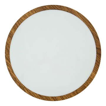 LED-kattovalaisin RING LED/24W/230V 4200K halkaisija 28,5 cm ruskea