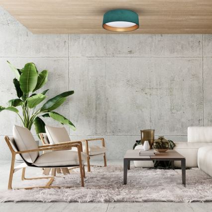 LED-kattovalaisin RONDO LED/18W/230V vihreä