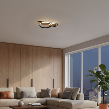LED-kattovalaisin ROWENA LED/14W/230V musta/ruskea
