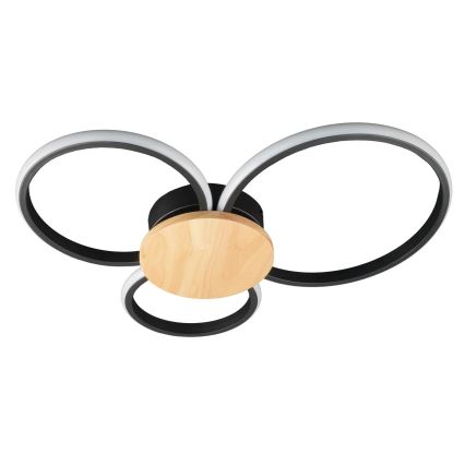 LED-kattovalaisin SABINA LED/38W/230V kumipuu
