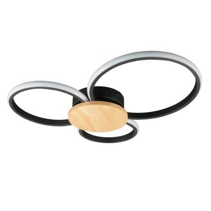 LED-kattovalaisin SABINA LED/38W/230V kumipuu