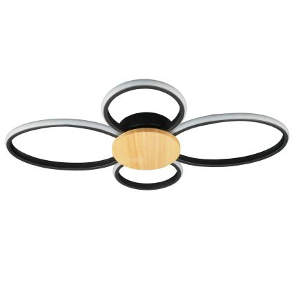 LED-kattovalaisin SABINA LED/38W/230V kumipuu