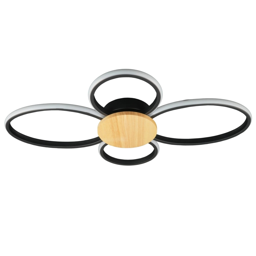 LED-kattovalaisin SABINA LED/38W/230V kumipuu