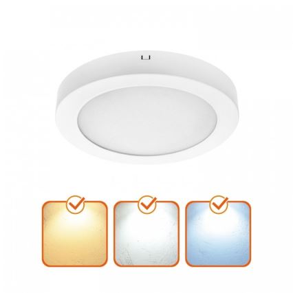 LED-kattovalaisin SIGARO LED/24W/230V 3000/4000/6500K Ø 22 cm valkoinen