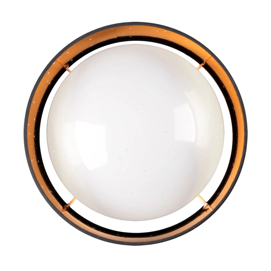 LED-kattovalaisin TULUZA LED/24W/230V halkaisija 40 cm musta